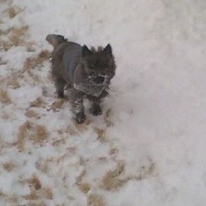 Meet your Posher, Sara